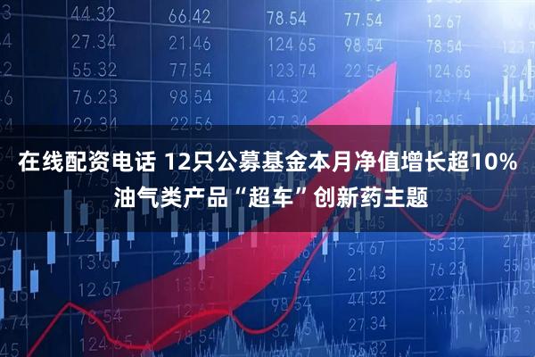 在线配资电话 12只公募基金本月净值增长超10% 油气类产品“超车”创新药主题