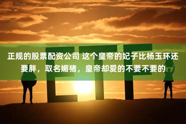 正规的股票配资公司 这个皇帝的妃子比杨玉环还要胖，取名媚猪，皇帝却爱的不要不要的